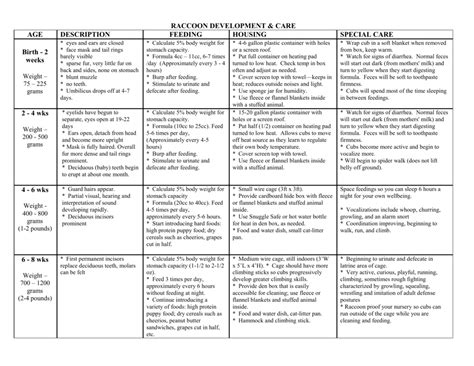 raccoon age chart